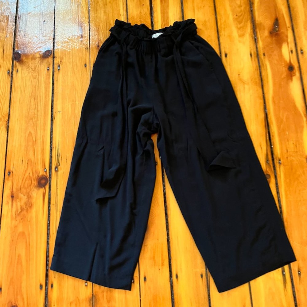J. Crew Point Sur Pull On Wide Leg Paperbag Pants